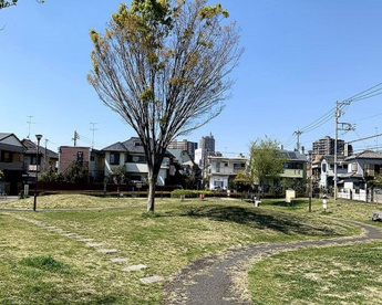 金森ふれあい公園の画像1