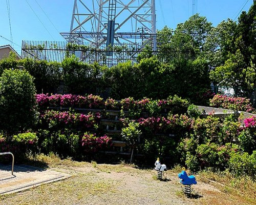 金井井戸窪梅の木公園の画像