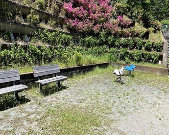 図師まるやま公園の画像1