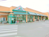 マルエツ愛甲石田店