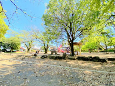 光綾公園の画像1