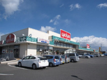yaohan(ヤオハン) 城東店