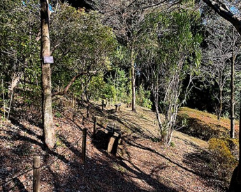 かしの木山自然公園の画像1