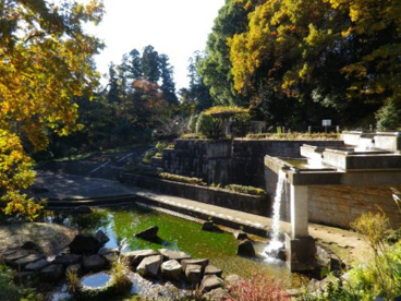 忠生公園の画像1
