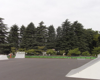 駒沢公園 ストリートスポーツ広場の画像1