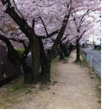 中新田川緑地の画像