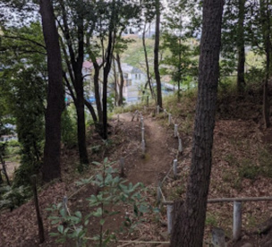 つくし野殿山特別緑地保全地区の画像1