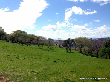 成瀬山吹特別緑地保全地区の画像1