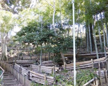 成城三丁目なかんだの坂市民緑地