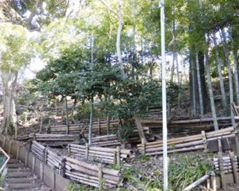 成城三丁目なかんだの坂市民緑地の画像1