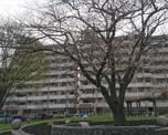 金森防災市民いこいの広場
