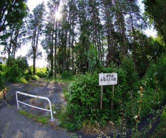 みずき山ふるさとの森の画像1