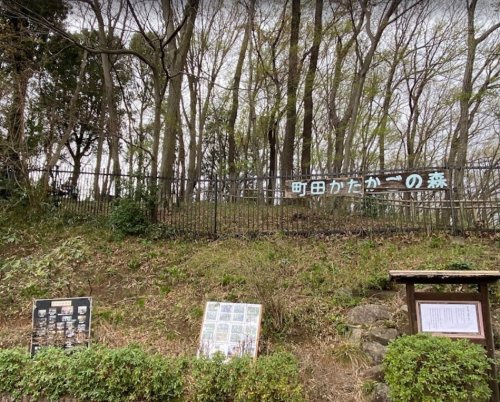 町田かたかごの森の画像
