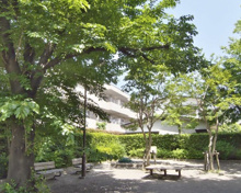 公園 世田谷区立成城七丁目公園