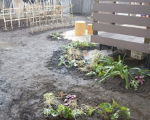 コティおうち保育園