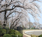富士森公園