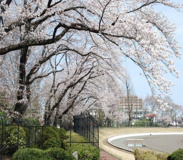 富士森公園