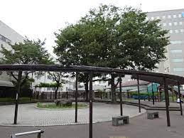 船森公園の画像1