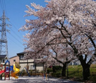暁公園