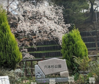 六本杉公園の画像1