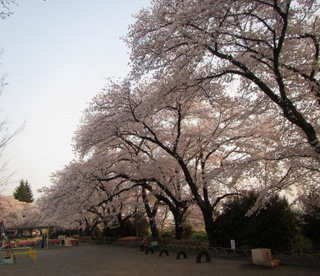元横山公園の画像1