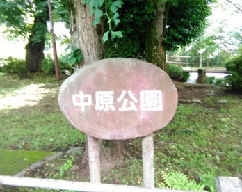 中原公園の画像1