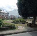 椿公園
