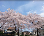 中野町公園