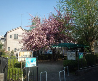 小芝原公園の画像1