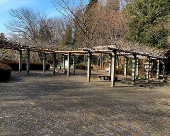 観栖寺台公園の画像1