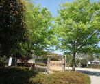 向原公園