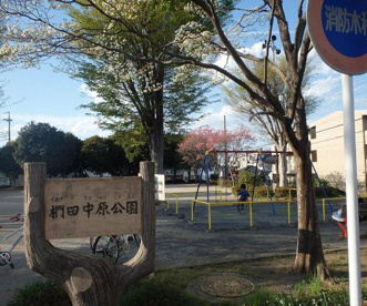 椚田中原公園の画像1
