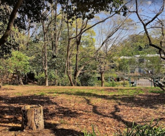 傘平緑地の画像1
