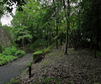 三本松緑地の画像1