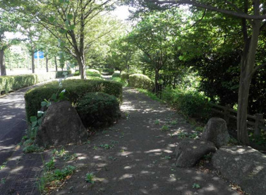 内裏谷戸緑地の画像1