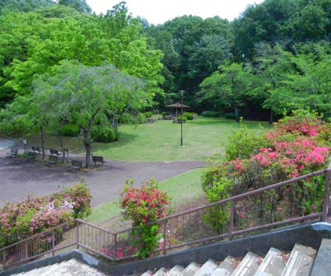 大塚西公園の画像1
