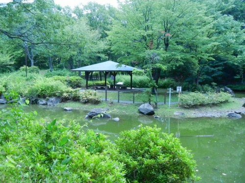 東中野公園の画像