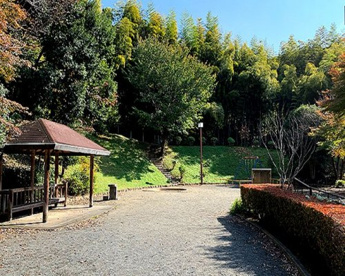 南大沢日原坂竹林公園の画像1