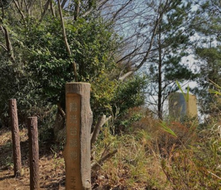 陽光台緑地の画像1