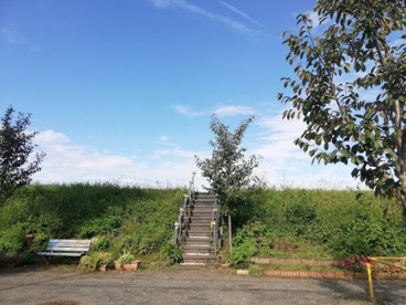 元横一丁目公園の画像1