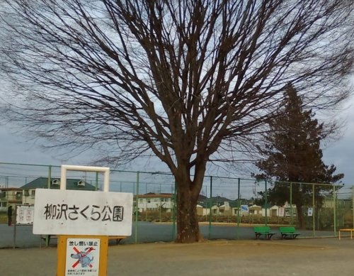 柳沢さくら公園の画像