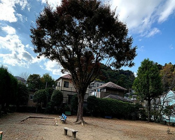 高尾上宿公園の画像1