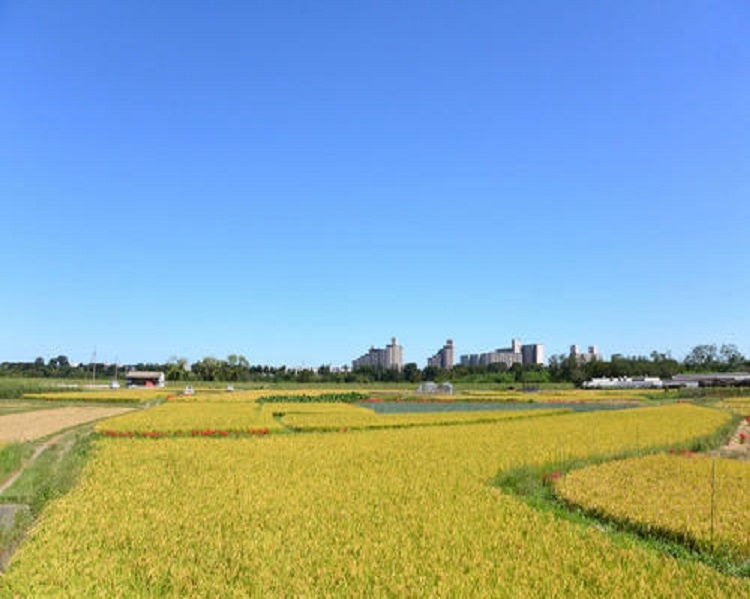 高月公園の画像