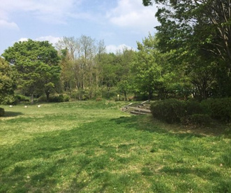 堀之内番場公園の画像1