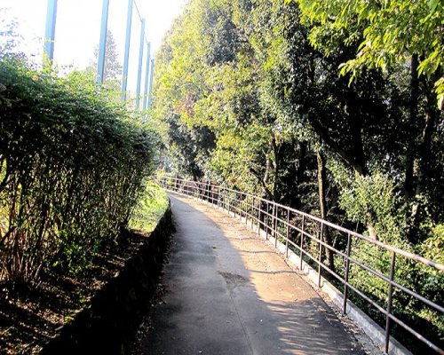 諏訪北公園の画像