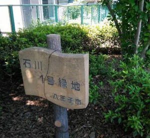 石川１号緑地の画像1