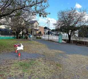 常盤公園の画像1