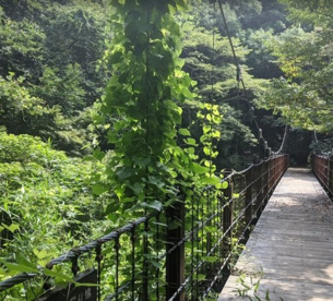 蓮生寺公園の画像1