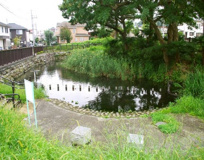 横川弁天池公園