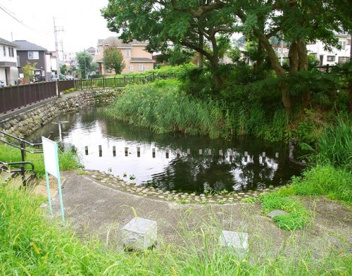 横川弁天池公園の画像1